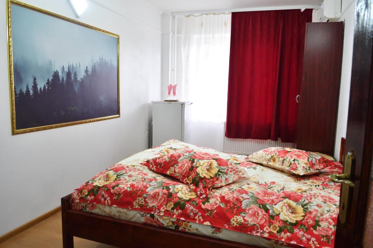 Casa Simescu I Hostel Karánsebes Kültér fotó